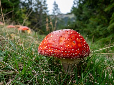 DCCG1X-20251003-2095