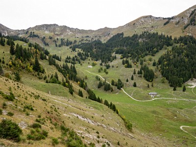 DCCG1X-20251003-2097