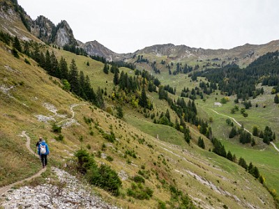 DCCG1X-20251003-2098