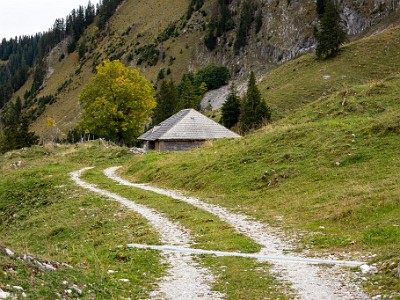 DCCG1X-20251003-2100