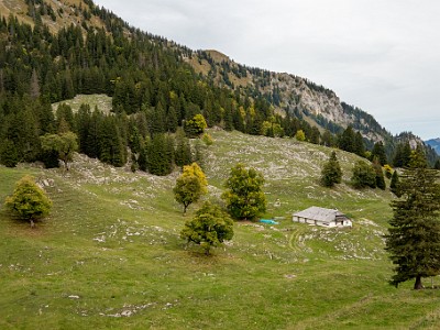 DCCG1X-20251003-2102