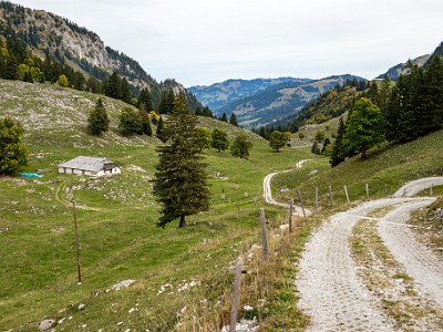 DCCG1X-20251003-2103