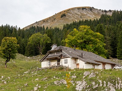 DCCG1X-20251003-2108