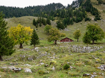 DCCG1X-20251003-2115