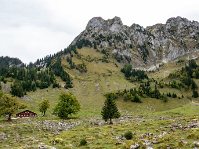 DCCG1X-20251003-2117