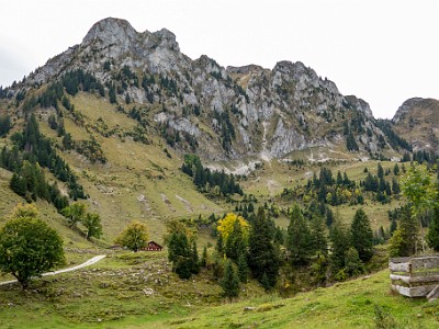 Breccaschlund (2025-10-03)