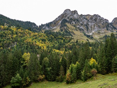 DCCG1X-20251003-2123