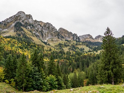 DCCG1X-20251003-2125