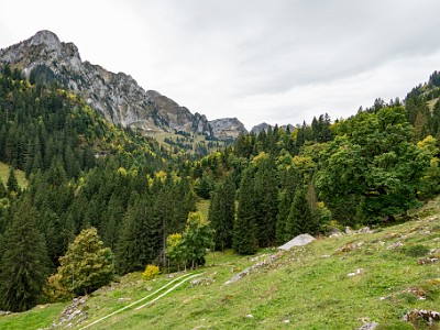 DCCG1X-20251003-2128