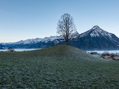 DCLDLUX8-20251228-1002251