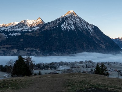 DCLDLUX8-20251228-1002260