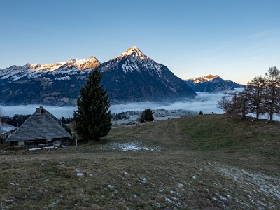 DCLDLUX8-20251228-1002261