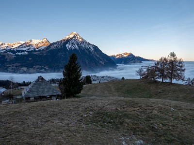 DCLDLUX8-20251228-1002262