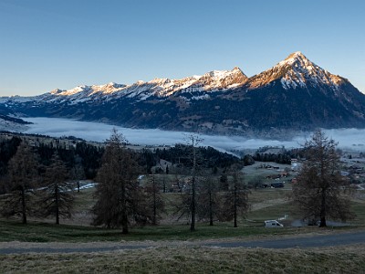 DCLDLUX8-20251228-1002263