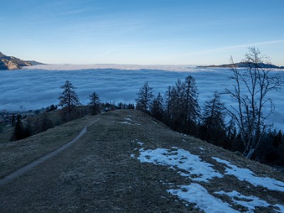 DCLDLUX8-20251228-1002264