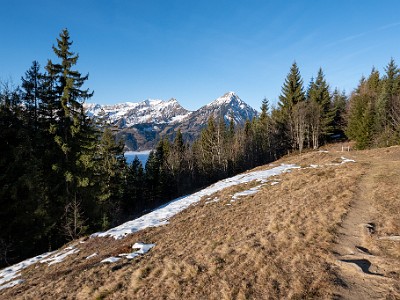 DCLDLUX8-20251228-1002268