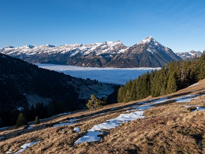 DCLDLUX8-20251228-1002271