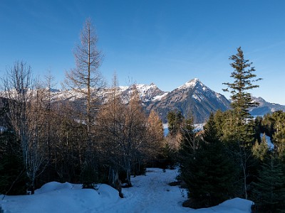 DCLDLUX8-20251228-1002272