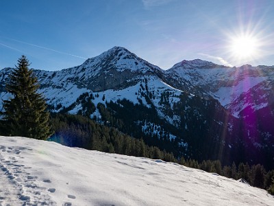 DCLDLUX8-20251228-1002275