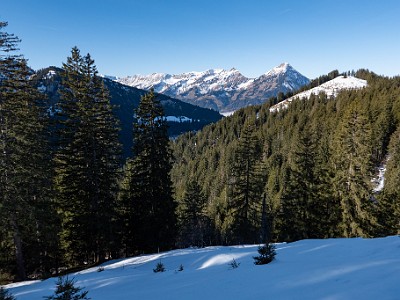 DCLDLUX8-20251228-1002276