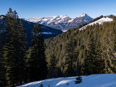 DCLDLUX8-20251228-1002277