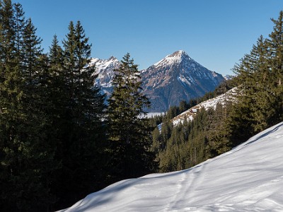 DCLDLUX8-20251228-1002281