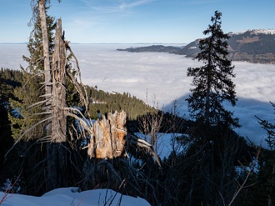 DCLDLUX8-20251228-1002283