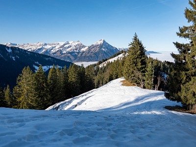 DCLDLUX8-20251228-1002285