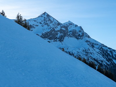 DCLDLUX8-20251228-1002291