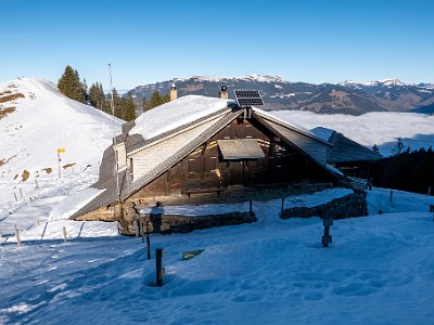 DCLDLUX8-20251228-1002293