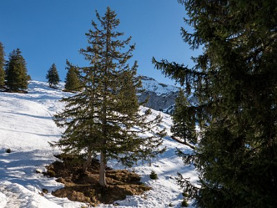 DCLDLUX8-20251228-1002295