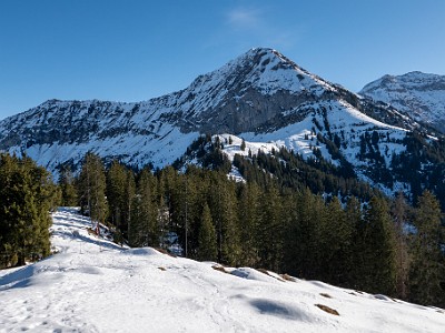 DCLDLUX8-20251228-1002296