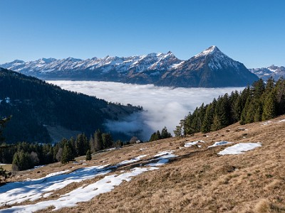 DCLDLUX8-20251228-1002297