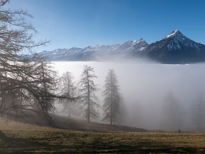 DCLDLUX8-20251228-1002299