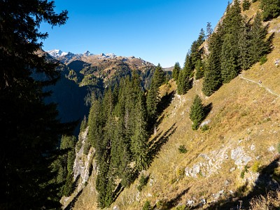 DCLDLUX8-20251011-1001690