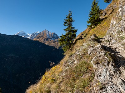 DCLDLUX8-20251011-1001691