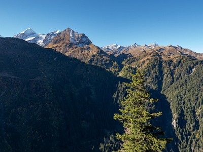 DCLDLUX8-20251011-1001692