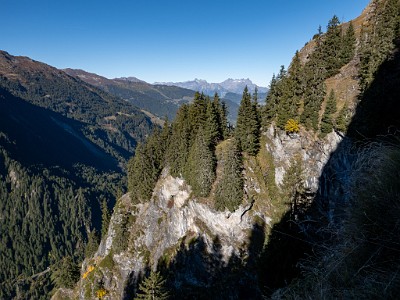 DCLDLUX8-20251011-1001694