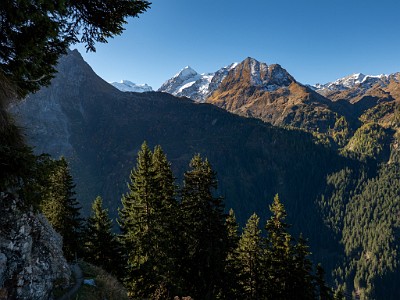 DCLDLUX8-20251011-1001695