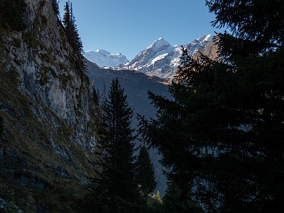 DCLDLUX8-20251011-1001696