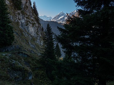 DCLDLUX8-20251011-1001698