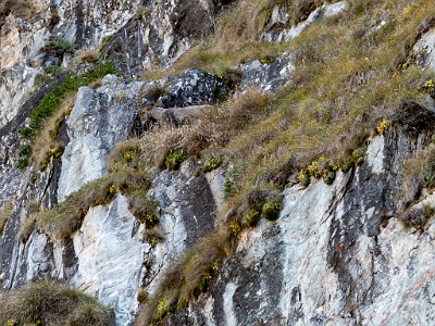 DCLDLUX8-20251011-1001701