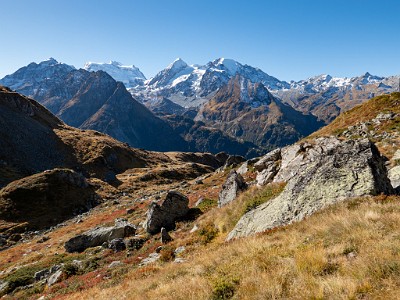 DCLDLUX8-20251011-1001708