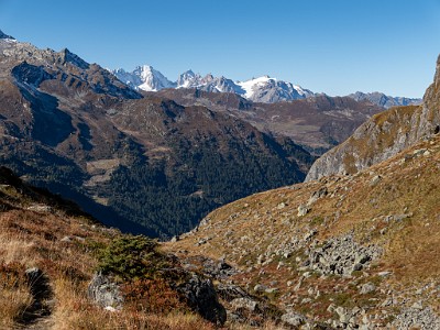 DCLDLUX8-20251011-1001710