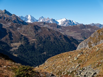 DCLDLUX8-20251011-1001711