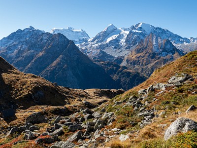 DCLDLUX8-20251011-1001712