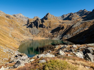 DCLDLUX8-20251011-1001713