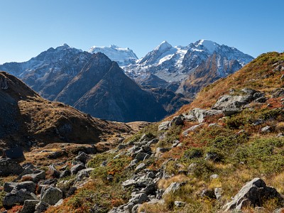 DCLDLUX8-20251011-1001716