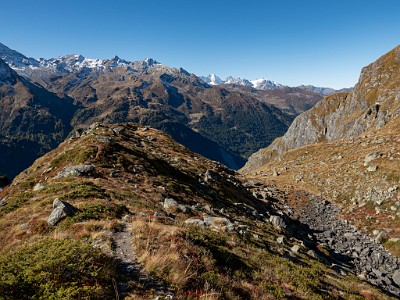 DCLDLUX8-20251011-1001718