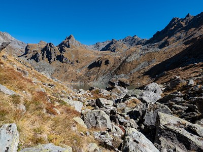 DCLDLUX8-20251011-1001729